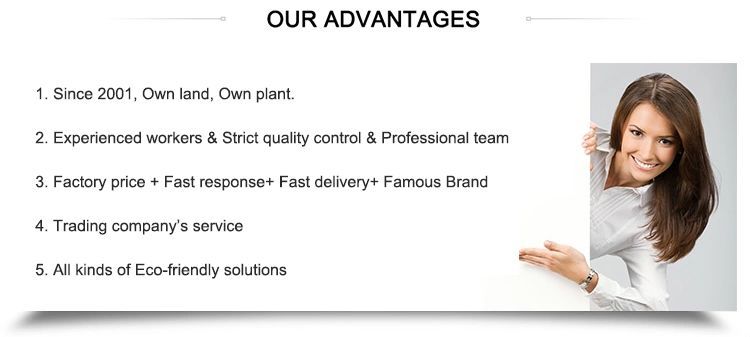 2/2.5/3 M² Flat Plate Pressurized Solar Thermal Panel